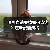 深圳直销桌椅如何省钱?质量优势解析(图2) 深圳直销桌椅如何省钱?质量优势解析(图2)