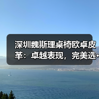 深圳魏斯理桌椅欧卓皮革：卓越表现，完美选···（图4）