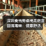 深圳麦当劳桌椅高密度回弹海绵：健康舒适，···（图2）