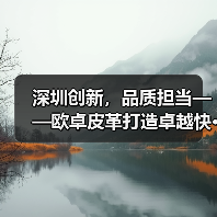 深圳创新,品质担当——欧卓皮革打造卓越快···(图3) 深圳创新,品质担当——欧卓皮革打造卓越快···(图3)